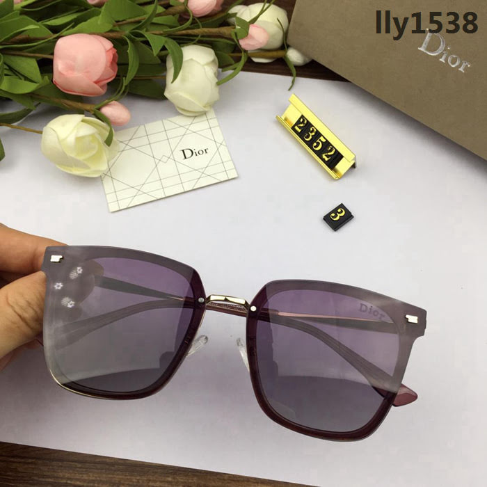 DIOR迪奧 官網同步 歐美風範 原單偏光 女款 太陽鏡  lly1538