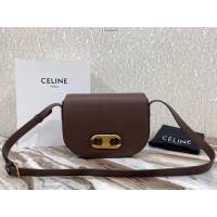 Celine女包 賽琳新款MAILLON TRIOMPHE小牛皮手袋 Celine單肩斜挎女包 193123  slyd2165