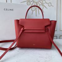 Celine女包 賽琳經典款大號女包 Celine belt bag 掌紋牛皮鯰魚包 189103  slyd2191