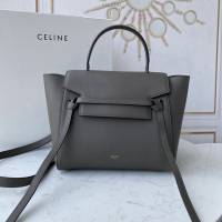 Celine女包 賽琳經典款大號女包 Celine belt bag 掌紋牛皮鯰魚包 189103  slyd2193
