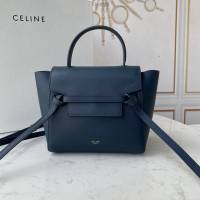 Celine女包 賽琳經典款中號女包 Celine belt bag 掌紋牛皮鯰魚包 189153  slyd2198