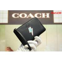 COACH蔻馳 原單 專櫃新款 28384 手挽包 頭層牛皮零錢包  Chz1230