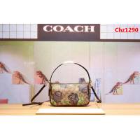 COACH蔻馳 專櫃同步 新料印花斜挎包 時尚百搭款 手提肩背包  Chz1290