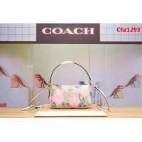 COACH蔻馳 專櫃同步 新料印花斜挎包 時尚百搭款 手提肩背包  Chz1293