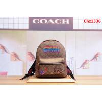 COACH蔻馳 31499新款 男女通用款塗鴉 PVC拼皮 休閒雙肩背包 旅行包  Chz1536