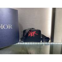 Dior男女同款包 迪奧ESSENTIALS新年限量款牛轉乾坤相機包 Dior肩背斜挎包  dfk1500