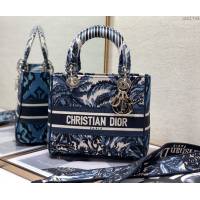 Dior女包 迪奧Lady Dior刺繡手袋 Dior手提肩背斜挎包  dfk1764