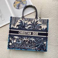 Dior女包 迪奧book tote棕櫚樹小號托特包 Dior刺繡購物袋  dfk1766