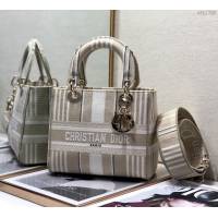 Dior女包 迪奧Lady Dior刺繡戴妃包 Dior手提肩背斜挎包  dfk1786
