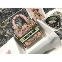 Dior女包 迪奧Lady D-Lite五格刺繡彩色燈光手袋 Dior手提肩背斜挎包  dfk1809