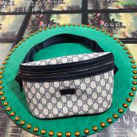 GUCCI古馳腰包 新款 專櫃品質 233269 進口牛皮 男士腰包 時尚單品 藍pvc  ydgq3411