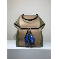 LOEWE男女通用包包 羅意威Goya系列雙肩書包  tcl1379