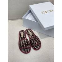 DIOR女鞋 迪奧2021專櫃新款戶外沙灘鞋 Dior天鵝絨家居拖  naq1451