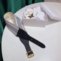 Dior女士腰帶 迪奧Christian Dior刺繡帆布皮帶  jjp1975