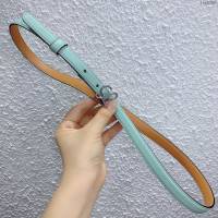 LOEWE女士皮帶 羅意威粒面小牛皮經典銅扣腰帶  jjp2006