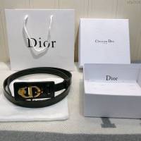 Dior皮帶 迪奧19秋冬新品 油蠟皮 Dior女士皮帶  xfp2134