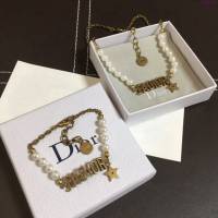 Dior飾品 迪奧經典熱銷款項鏈 手鏈  zgd1106