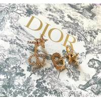 Dior飾品 迪奧經典熱銷款星星CD耳釘 耳夾  zgd1166
