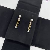 Dior飾品 2021新款DIOR迪奧字母耳釘  zgd1215