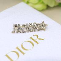 Dior飾品 迪奧經典熱銷款推薦款胸針胸花  zgd1286