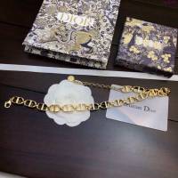 Dior飾品 迪奧經典熱銷火爆款鏈條項鏈  zgd1366
