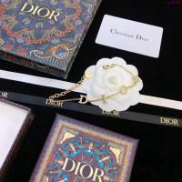 Dior飾品 迪奧經典火爆款字母項鏈  zgd1385