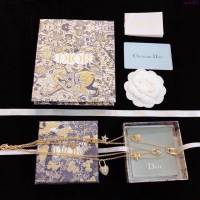 Dior飾品 迪奧經典熱銷款星星桃心四葉草雙層項鏈  zgd1422