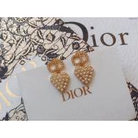 Dior飾品 迪奧經典熱銷款純銀針CD愛心耳釘耳環  zgd1433