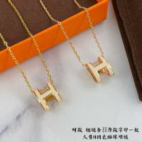 Hermes首飾品 愛馬仕肉色H琳琅大號項鏈 Hermes對版粗鏈條女士項鏈  zgh1530