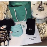 Tiffany純銀飾品 蒂芙尼女士專櫃爆款圓邊鑲鑽戒指  zgt1656