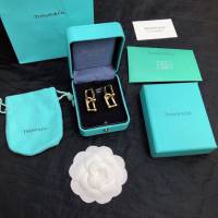Tiffany飾品 蒂芙尼女士專櫃爆款關節U型耳環耳釘  zgt1658