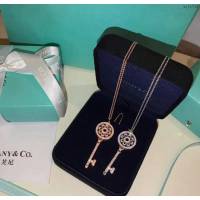 Tiffany純銀飾品 蒂芙尼女士專櫃爆款鑰匙經典太陽花大號長鏈款項鏈  zgt1714