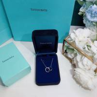 Tiffany純銀飾品 蒂芙尼女士專櫃爆款1837雙環項鏈 Tiffany純銀鎖骨鏈  zgt1715