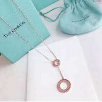 Tiffany純銀飾品 蒂芙尼女士專櫃爆款羅馬大小圓圈流蘇項鏈 Tiffany純銀鎖骨鏈  zgt1722