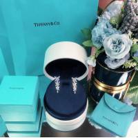 Tiffany純銀飾品 蒂芙尼女士專櫃爆款馬眼全鑽花簇八心八箭耳環耳釘  zgt1737