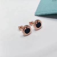 Tiffany情侶飾品 蒂芙尼男女同款專櫃爆款圓圈雙T黑瑪瑙白貝綠松石耳釘耳環  zgt1754