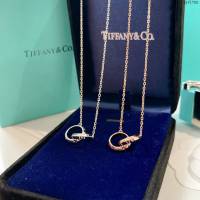 Tiffany純銀飾品 蒂芙尼女士專櫃爆款羅馬數字雙環項鏈 Tiffany純銀鎖骨鏈  zgt1768