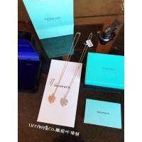 Tiffany純銀飾品 蒂芙尼女士專櫃爆款橄欖葉純銀吊墜925樹葉項鏈 Tiffany純銀鎖骨鏈  zgt1785