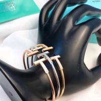 Tiffany飾品 蒂芙尼女士專櫃爆款白貝母雙t手鐲  zgt1800