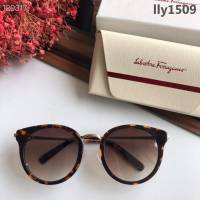 Ferragamo菲拉格慕 2019新款 百搭款 女款太陽鏡 SF899SK  lly1509