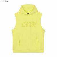 Dior專櫃迪奧2023SS新款刺繡連帽背心 男女同款 tzy2934