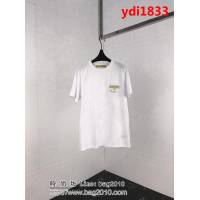 DIOR迪奧 19ss早春新款 限定款 金粉logo系列 純棉白色短袖 男女同款 ydi1833