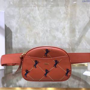 Chloe女包 克洛伊經典Signature駿馬刺繡鉚釘腰包胸包 Chloe拉鏈款斜挎包  jjh1255