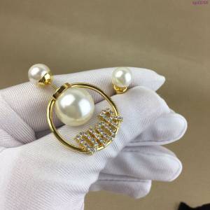 Dior飾品 迪奧經典熱銷款耳環  zgd1016