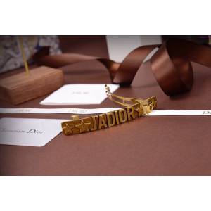 Dior飾品 迪奧經典熱銷款字母髮夾  zgd1130