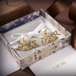 Dior飾品 2021新款DIOR迪奧字母耳釘耳環  zgd1197