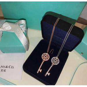 Tiffany純銀飾品 蒂芙尼女士專櫃爆款鑰匙經典太陽花大號長鏈款項鏈  zgt1714