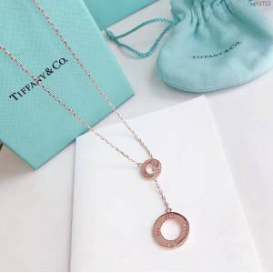 Tiffany純銀飾品 蒂芙尼女士專櫃爆款羅馬大小圓圈流蘇項鏈 Tiffany純銀鎖骨鏈  zgt1722